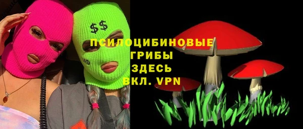 дживик Аркадак